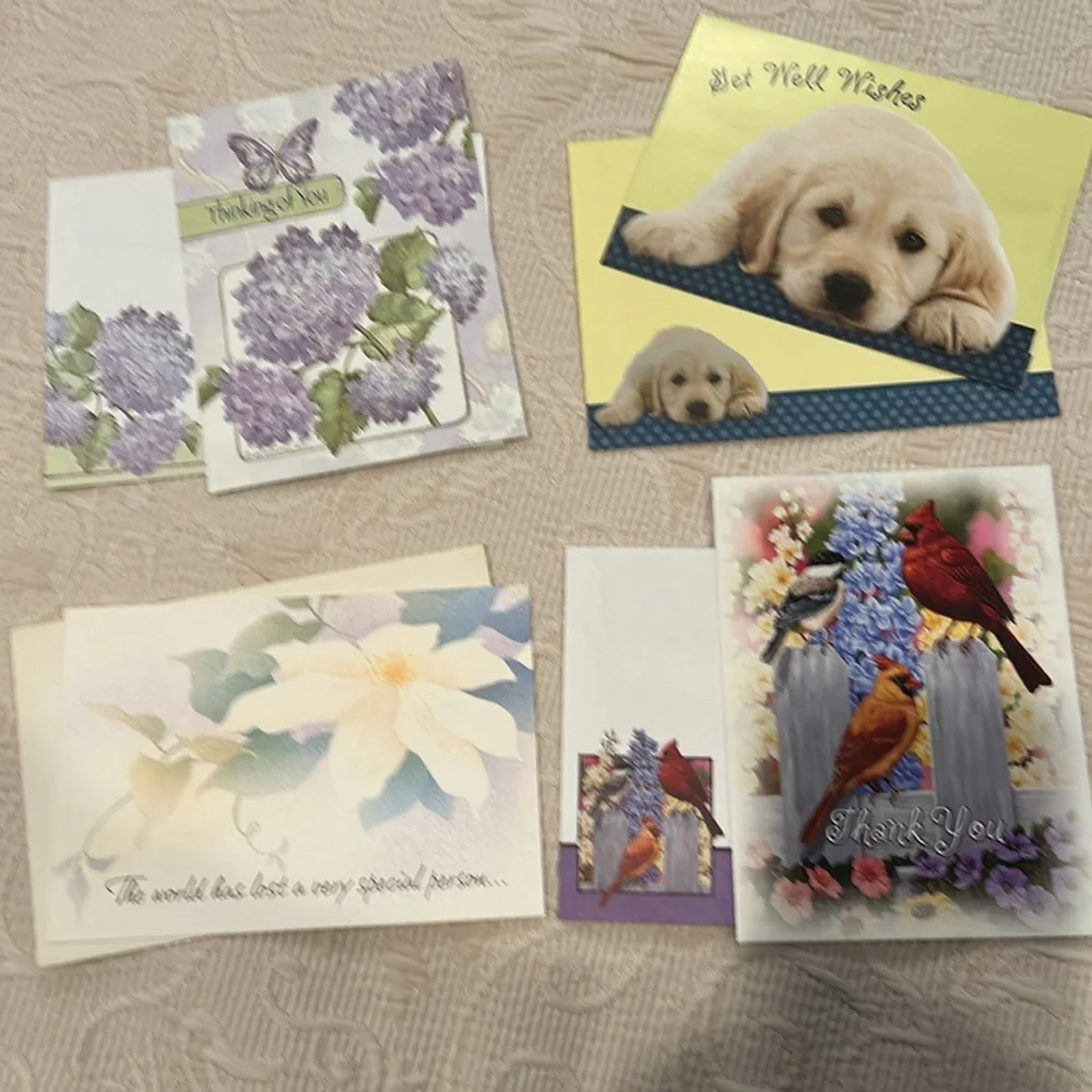 Assorted Get Well / Thinking of You / Sympathy / Blank / Anniversary c…